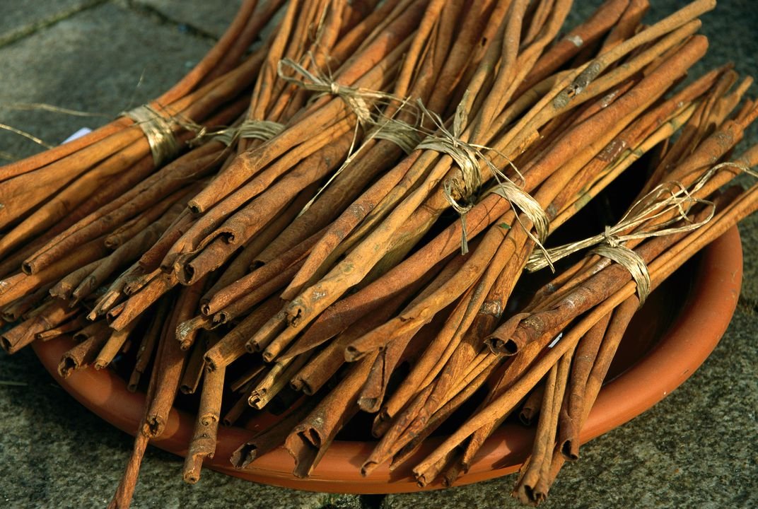 Cassia Essential Oil Benefits, Uses and Warnings Everphi EverPhi